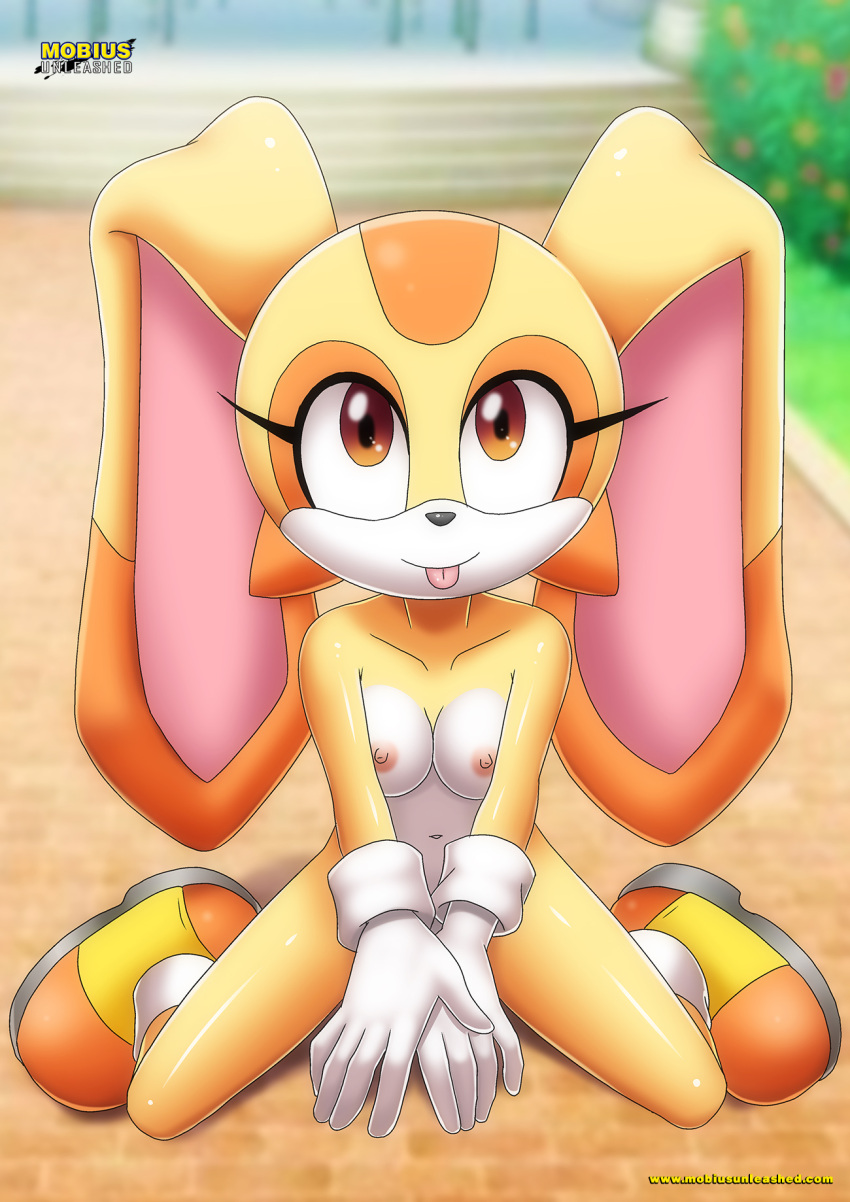 Hentai Zoo – 1 anthro 1 female 1 female anthro 1girl anthro anthro ears anthro rabbit