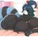 Hentai Zoo – 1girl big breasts big butt female furry saasmimzarts | 1120849