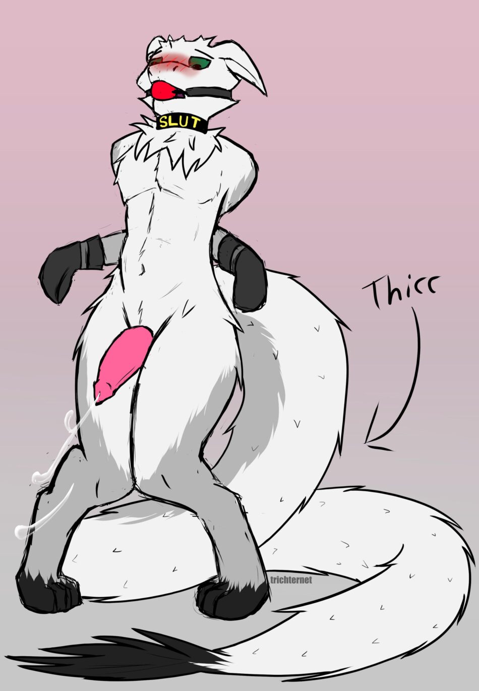 Thicc tail hours (TrichterNet)