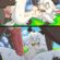 She’s In Danger [MF] (BiddoBoss)