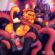 Hentai Zoo – big breasts big butt cat female/female furry mautisskunk sex | 1130209