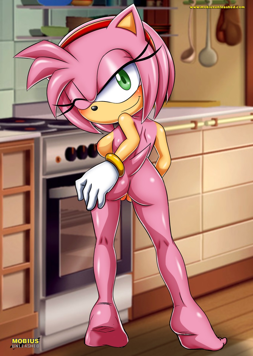 Hentai Zoo – 1girl amy rose barefoot bracelet eyelashes feet furry gloves green eyes hair
