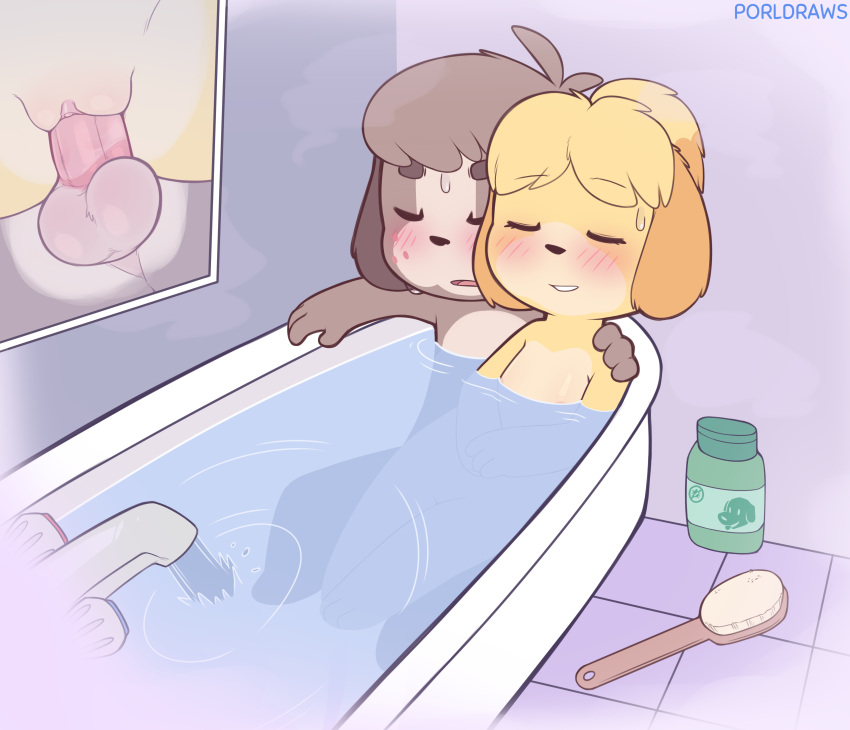 1boy 1girl absurd_res animal_crossing animal_crossing_new_leaf anthro balls bathing bathing_together bathroom bathtub blush bodily_fluids brother brother_and_sister canid canine canis digby_(animal_crossing) domestic_dog duo female genitals hand_on_shoulder high_res incest isabelle_(animal_crossing) male male/female mammal nintendo no_breasts nude on_lap penetration penis porldraws pussy sex shih_tzu sibling sister sitting_on_lap sweat toy_dog twincest twins underwater underwater_sex vaginal_penetration water