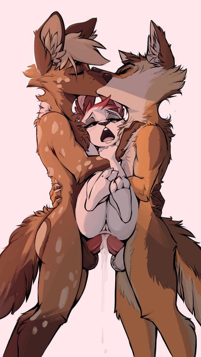 Double stuffed bunny [MFM] (Samur Shalem)