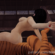 Hentai Zoo – 3d 3d model anthro anthro dominating human anthro futa anthro on human