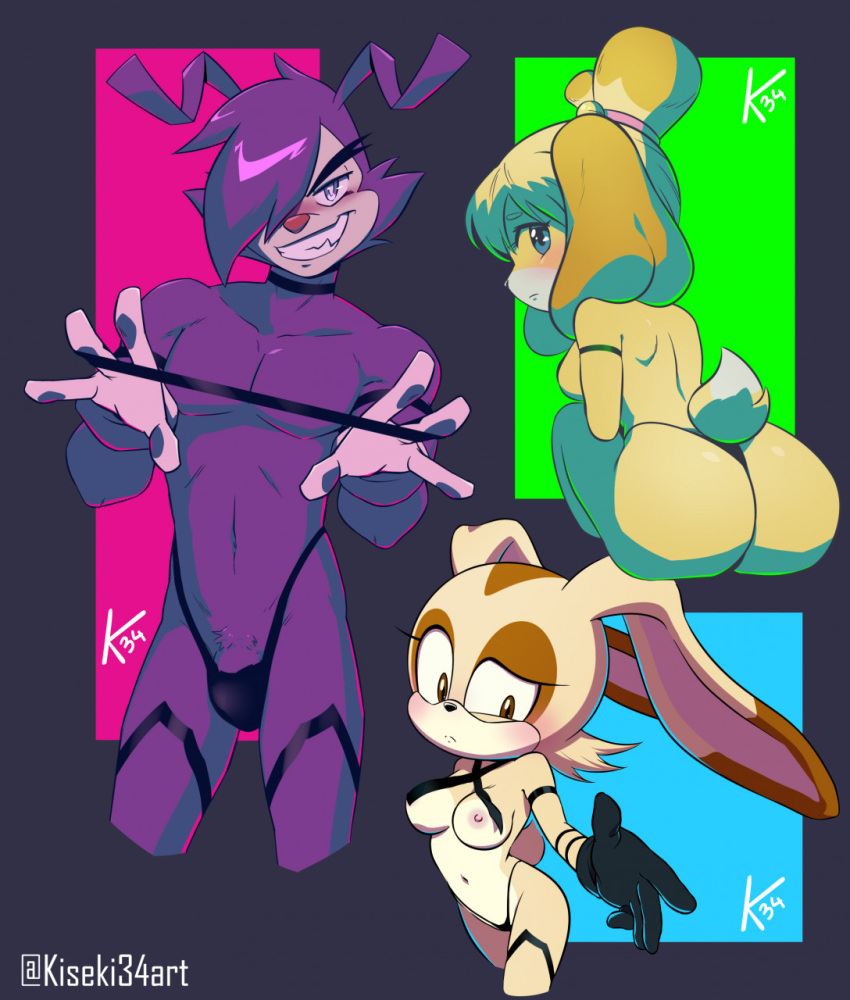 1boy 2girls animal_crossing animaniacs animaniacs_(2020) anime-aniacs ass blush breasts bulge canid canine canis clothing cream_the_rabbit crossover domestic_dog female gloves group handwear high_res hulu inkblot isabelle_(animal_crossing) kiseki_art lagomorph leporid looking_at_viewer male mammal nintendo rabbit sega simple_background sonic_advance_2 sonic_the_hedgehog_(series) trio warner_bros warner_brothers yakko_warner