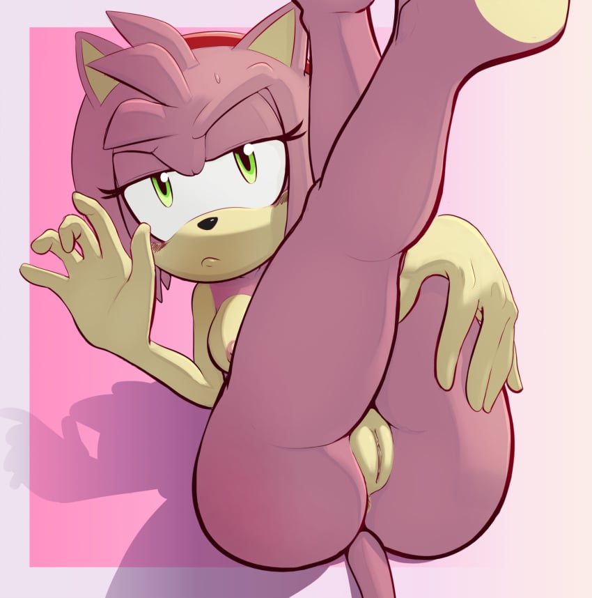 Hentai Zoo – 1girl 1girl 5 fingers amy rose anthro areola breasts eulipotyphlan fingers