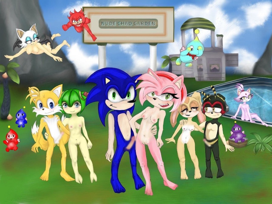 Hentai Zoo – amy rose blaze the cat chao chao (sonic) charmy bee charmy the bee comic