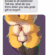 [M] The most amusing boyhole you will ever see (jartlium)
