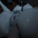 Hentai Zoo – 1 boy 1 boys 1 eye 1 female 1 girl 1 girls 1 male 1 men 1 woman 1 women 1boy