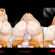 Hentai Zoo – 1boy 1girl 2026 age difference anthro anthro on anthro anthro penetrated